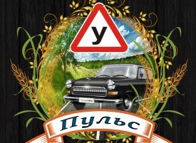 Фото Автошколы Пульс Химки